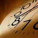 kocaelinde terc�me b�rosu