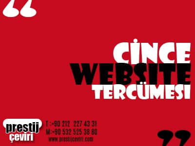 Çince Website Tercümesi